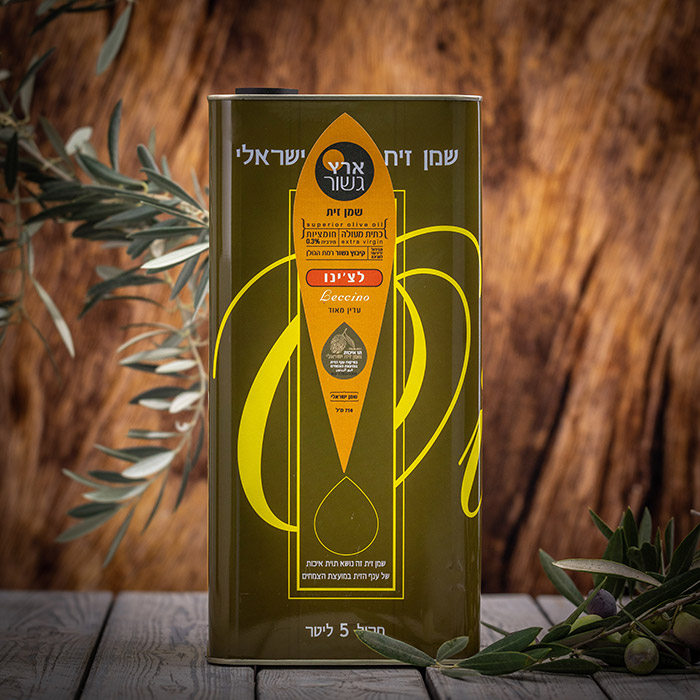 גשור-65