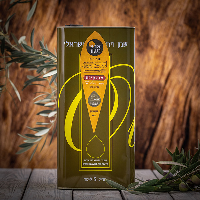 גשור-66