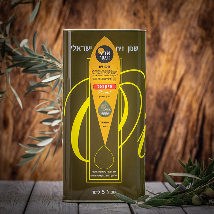 גשור-68