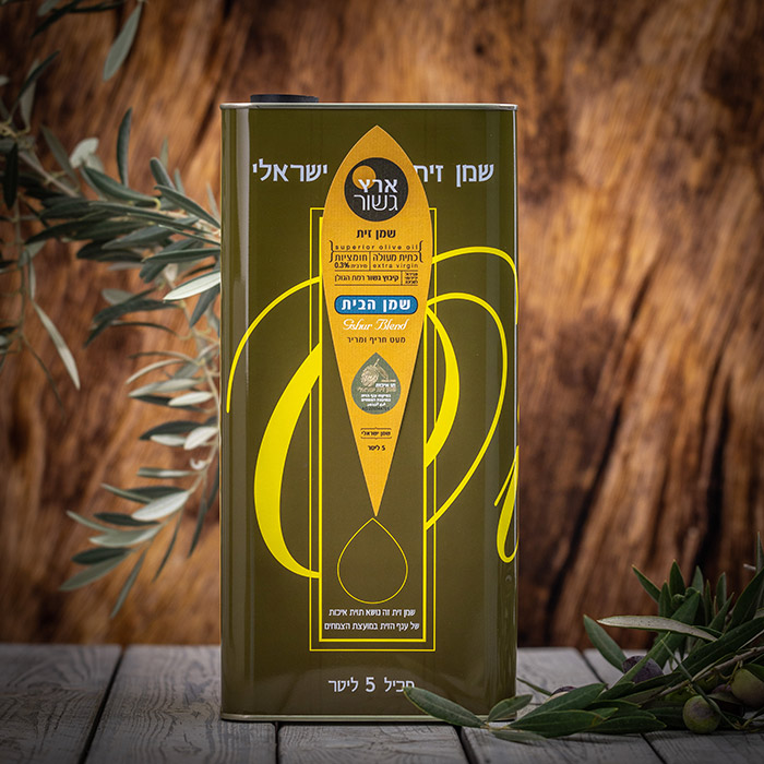 גשור-69