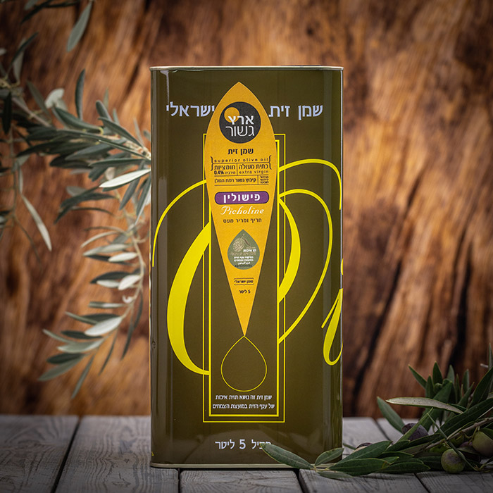 גשור-70