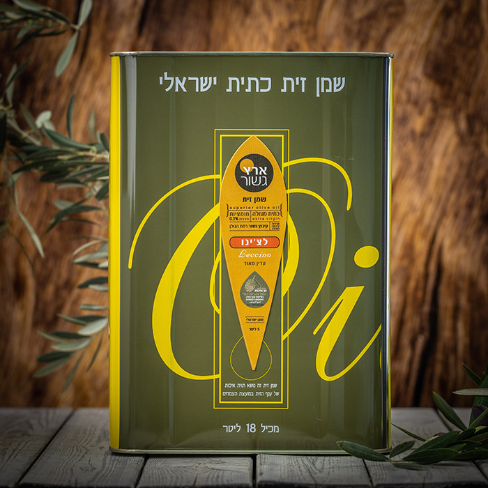 גשור-77