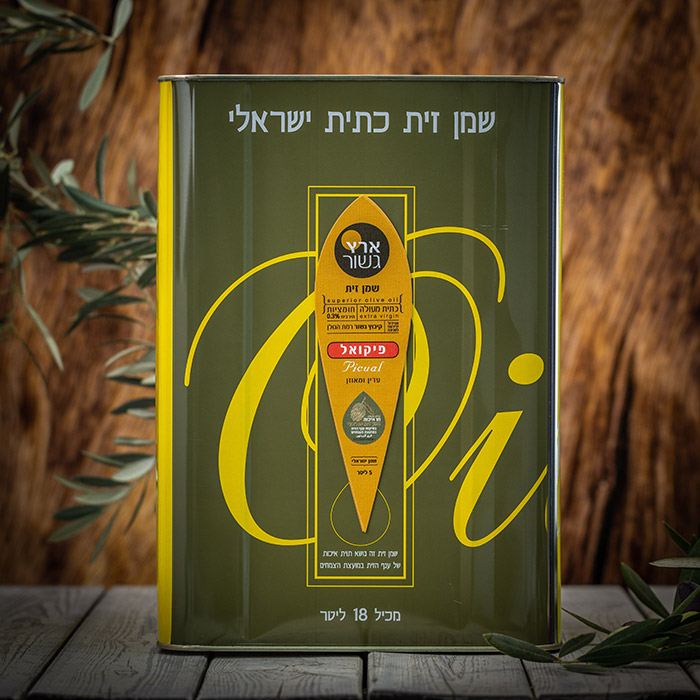 גשור-78