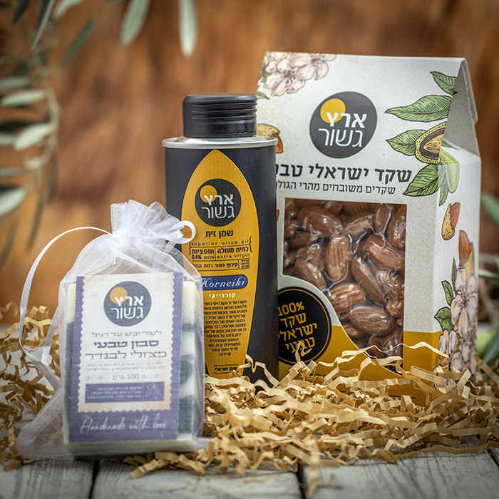 גשור-83